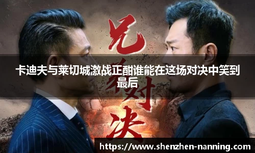 卡迪夫与莱切城激战正酣谁能在这场对决中笑到最后