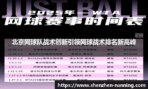 北京网球队战术创新引领网球战术排名新高峰