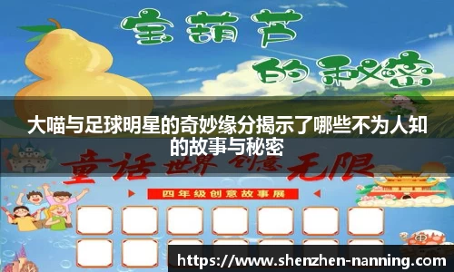 大喵与足球明星的奇妙缘分揭示了哪些不为人知的故事与秘密